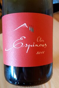 20210610_PXL123224875_Pixel3a-JEB